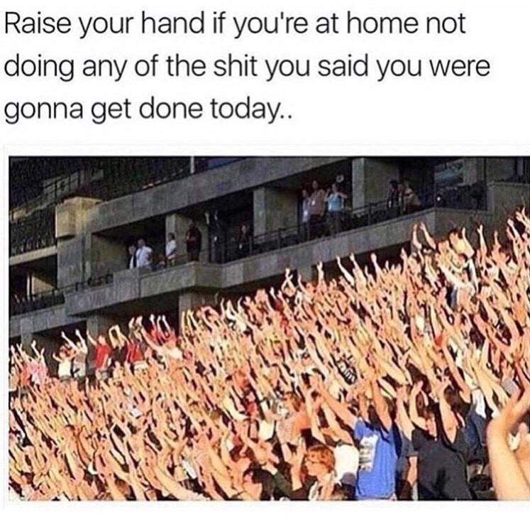 meme stream - funny raising hands - Raise your hand if you're at home not doing any of the shit you said you were gonna get done today..