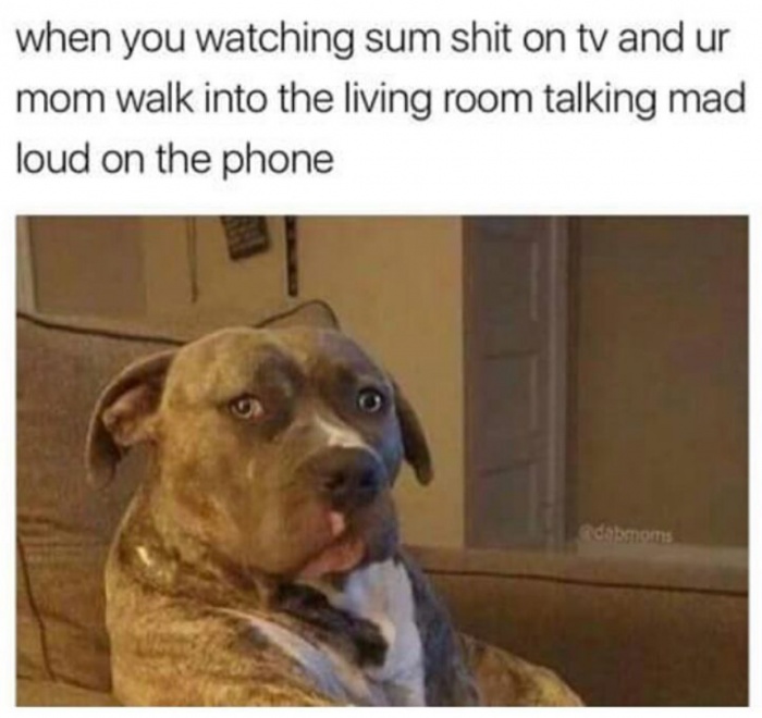 meme stream - you re watching a movie meme - when you watching sum shit on tv and ur mom walk into the living room talking mad loud on the phone camoms