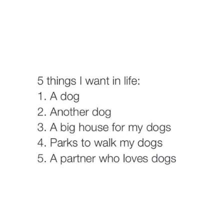 meme stream - number - 5 things I want in life 1. A dog 2. Another dog 3. A big house for my dogs 4. Parks to walk my dogs 5. A partner who loves dogs