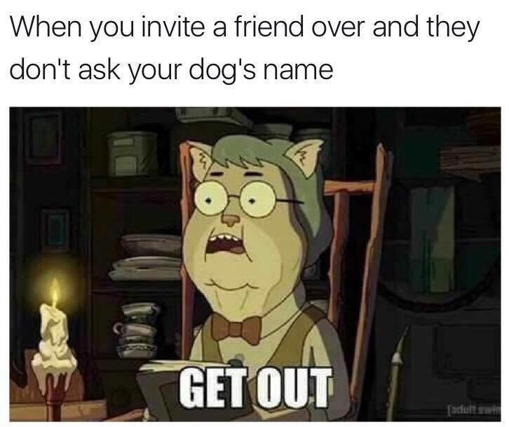 memes - rick and morty get out - When you invite a friend over and they don't ask your dog's name Get Out