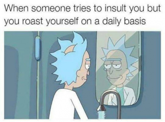 memes - rick and morty dank memes - When someone tries to insult you but you roast yourself on a daily basis