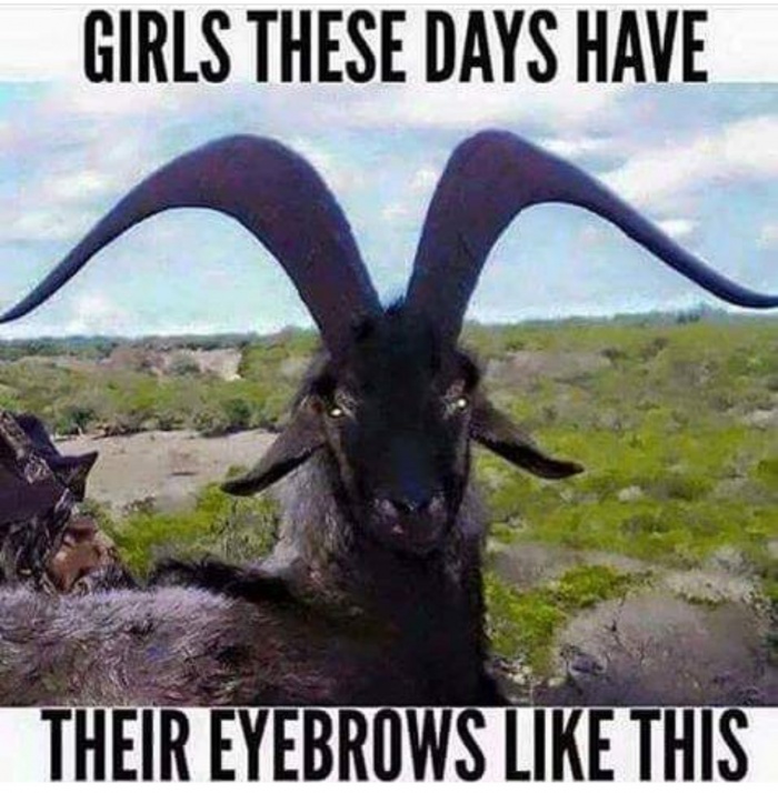 memes - girls eyebrows be like - Girls These Days Have Their Eyebrows This