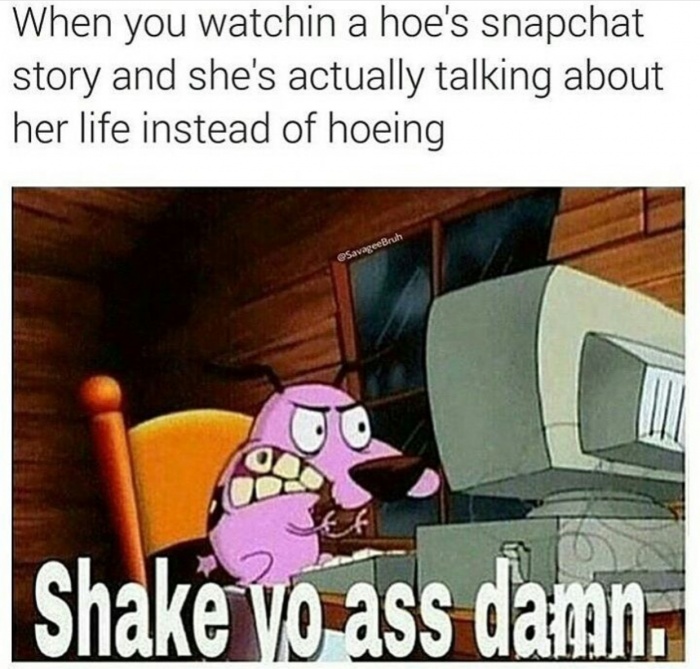 memes - shake yo ass damn meme - When you watchin a hoe's snapchat story and she's actually talking about her life instead of hoeing SavageeBruh Shake yo ass damn.