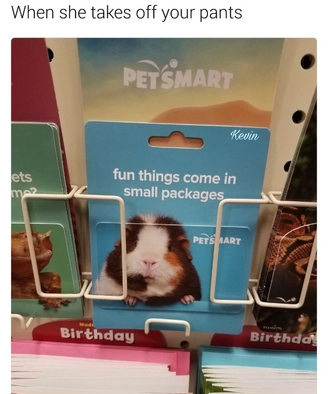 memes - When she takes off your pants Pet Smart Kevin fun things come in small packages Pets Aart sor Birthday Birthday