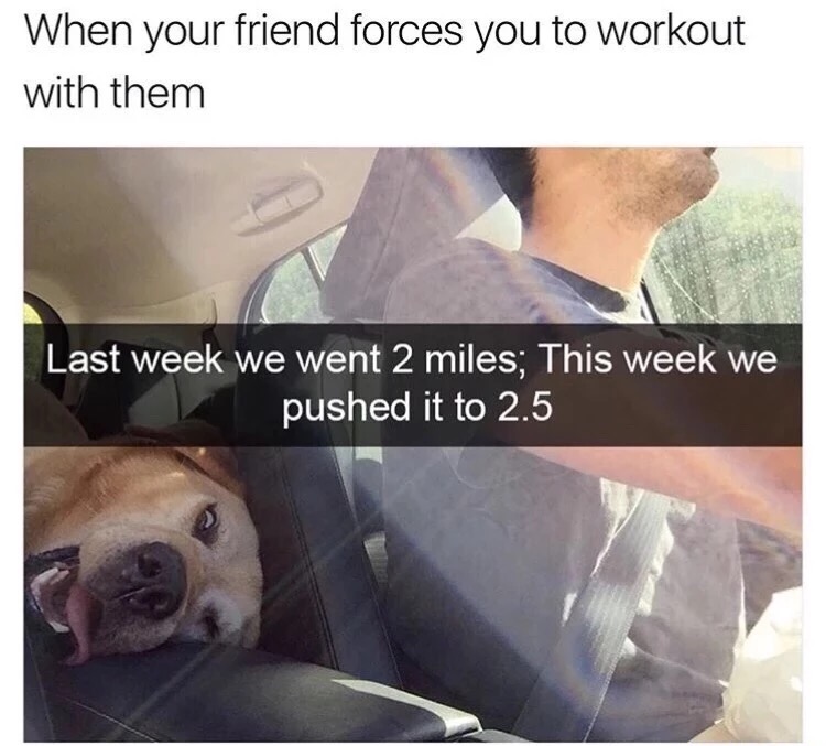 memes - your friend makes you workout - When your friend forces you to workout with them Last week we went 2 miles; This week we pushed it to 2.5