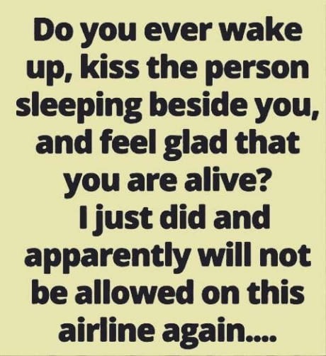 memes - funny thought of the day - Do you ever wake up, kiss the person sleeping beside you, and feel glad that you are alive? I just did and apparently will not be allowed on this airline again....