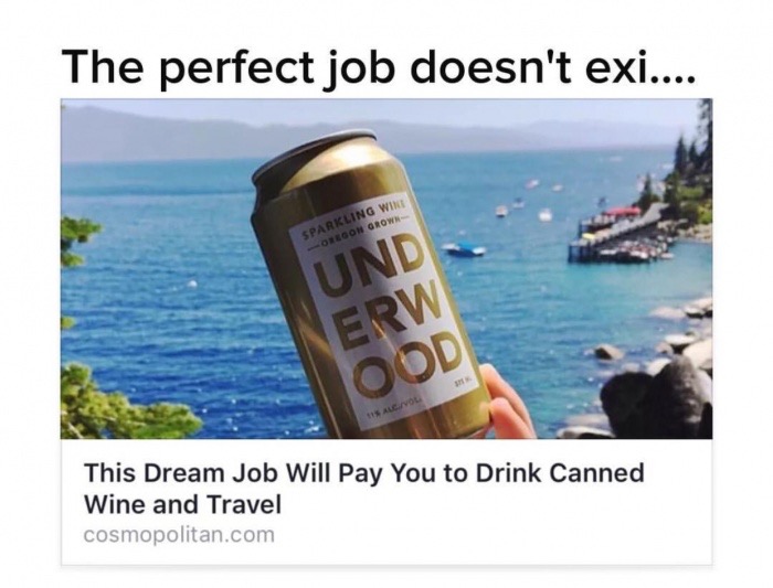 memes - perfect drink doesnt exi - The perfect job doesn't exi... Sparkling Wine Oregon Grow Und Erw 18 meron This Dream Job Will Pay You to Drink Canned Wine and Travel cosmopolitan.com
