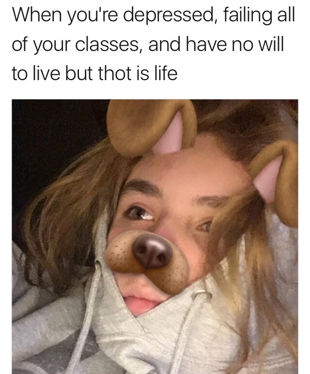 meme - photo caption - When you're depressed, failing all of your classes, and have no will to live but thot is life
