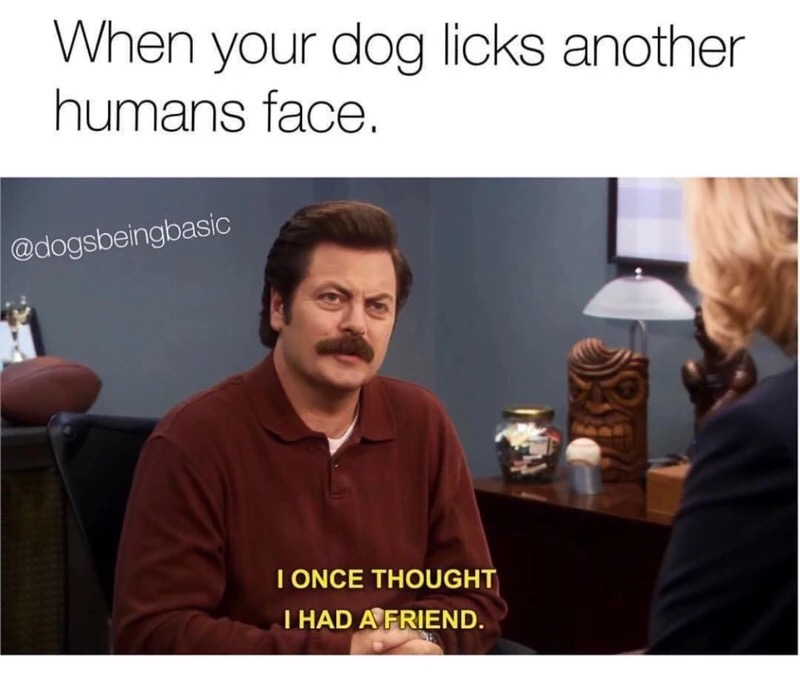 meme - parks and recreation swanson - When your dog licks another humans face. I Once Thought I Had A Friend.