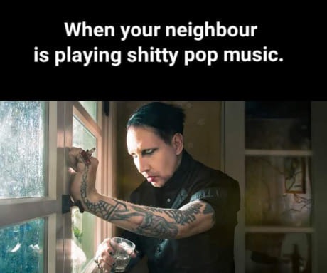 meme - me waiting for the birds to use my new bird feeder - When your neighbour is playing shitty pop music.
