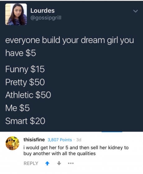 meme - build your dream girl - Lourdes everyone build your dream girl you have $5 Funny $15 Pretty $50 Athletic $50 Me $5 Smart $20 thisisfine 3,807 Points 3d i would get her for 5 and then sell her kidney to buy another with all the qualities ...
