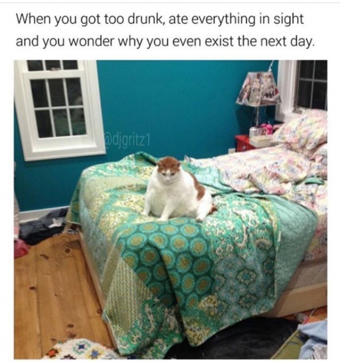 meme - room - When you got too drunk, ate everything in sight and you wonder why you even exist the next day. Odjgritz1