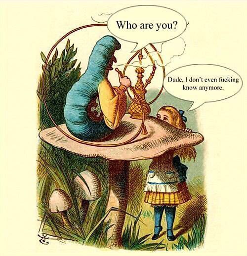 meme - alice in wonderland john tenniel alice - Who are you? Dude, I don't even fucking know anymore.