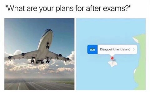 memes - your plans after the exams - "What are your plans for after exams?" Disappointment Island