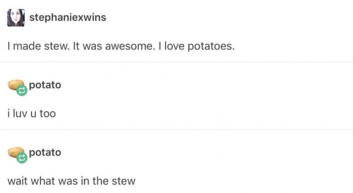 memes - conversations funny - stephaniexwins I made stew. It was awesome. I love potatoes. potato i luv u too potato wait what was in the stew