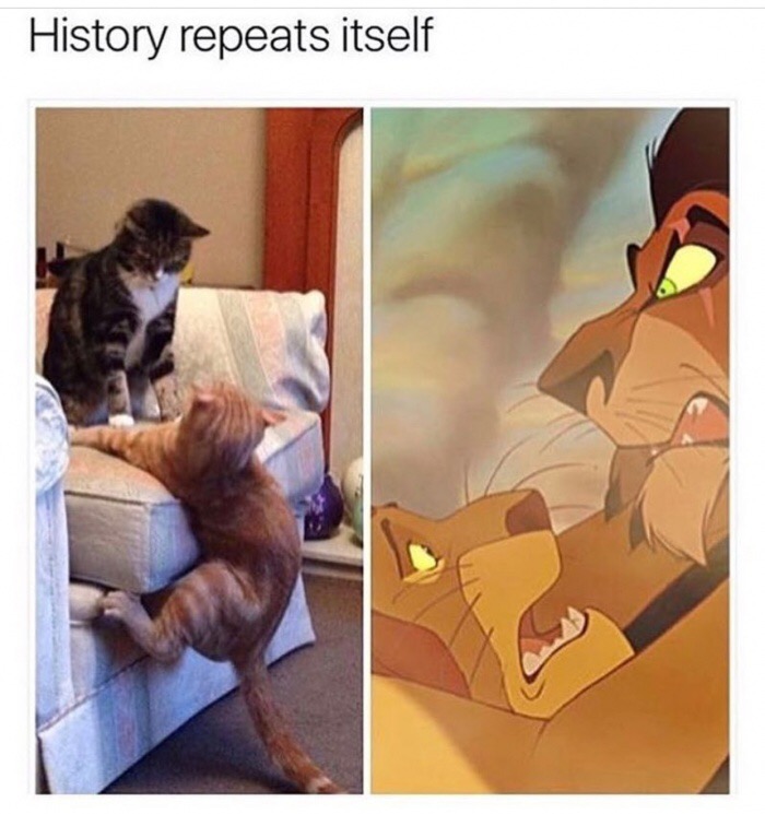 cats lion king meme - History repeats itself