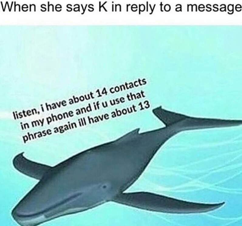 memes - common bottlenose dolphin - When she says K in to a message listen, i have about 14 contacts in my phone and if u use that phrase again ill have about 13