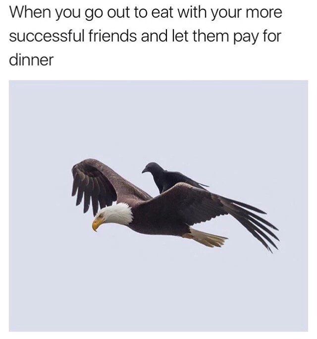 memes - When you go out to eat with your more successful friends and let them pay for dinner