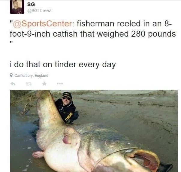 memes - giant catfish lake mead - Sg " fisherman reeled in an 8 foot9inch catfish that weighed 280 pounds i do that on tinder every day Canterbury, England