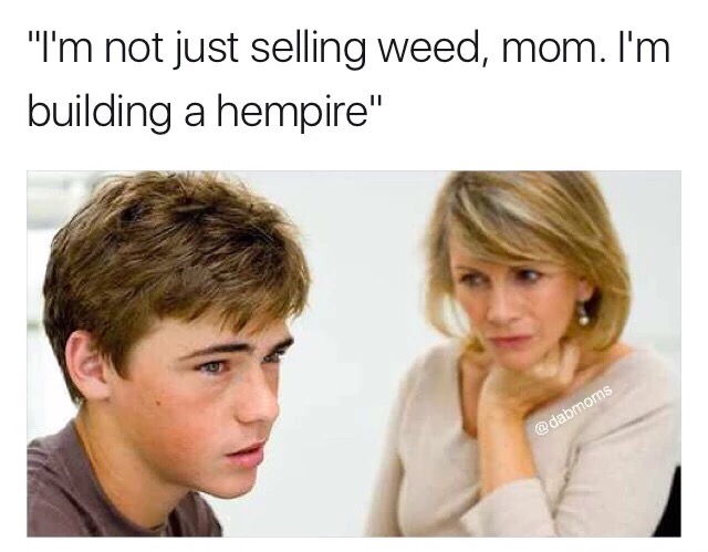 daddy phone meme - "I'm not just selling weed, mom. I'm building a hempire"