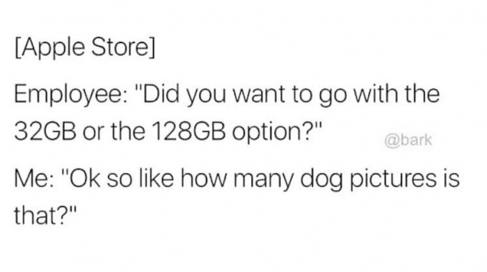 handwriting - Apple Store Employee "Did you want to go with the 32GB or the 128GB option?" Me "Ok so how many dog pictures is that?"