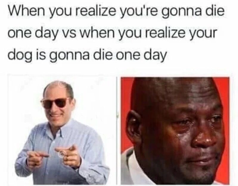too real memes - When you realize you're gonna die one day vs when you realize your dog is gonna die one day
