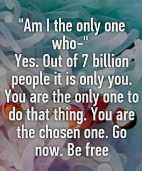 photo caption - "Am I the only one who" Yes. Out of 7 billion people it is only you. You are the only one to do that thing. You are the chosen one. Go now. Be free
