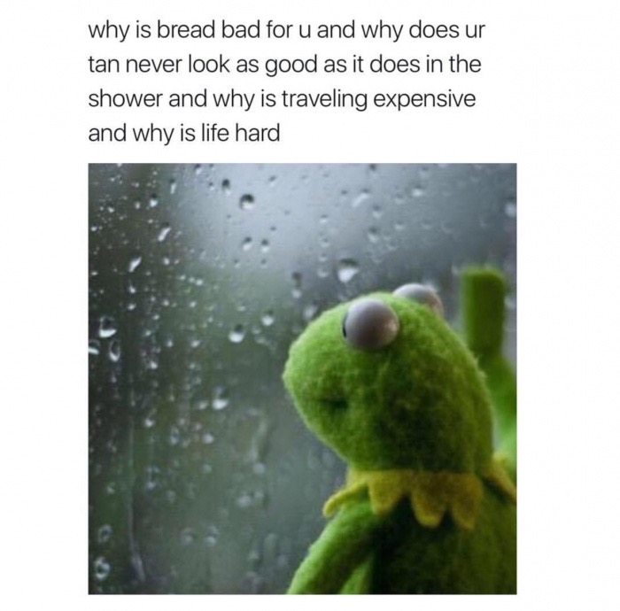 puppet frog meme - why is bread bad for u and why does ur tan never look as good as it does in the shower and why is traveling expensive and why is life hard