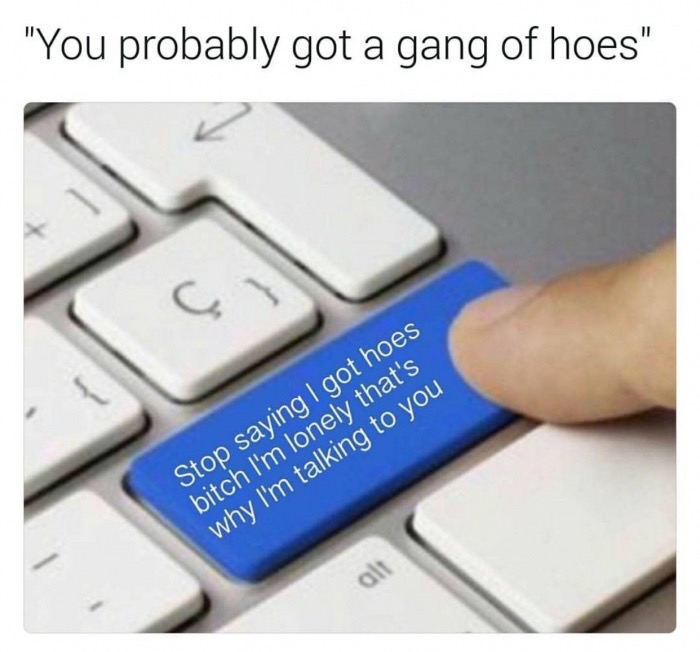 opened snapchat meme - "You probably got a gang of hoes" Stop saying I got hoes bitch I'm lonely that's why I'm talking to you alt