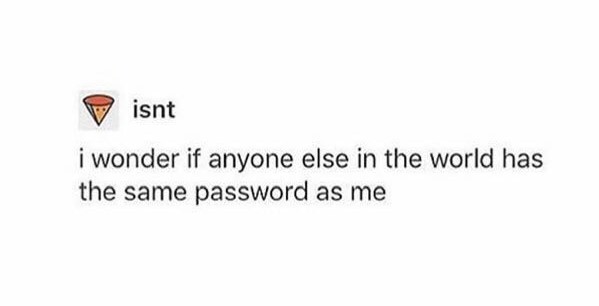 diagram - isnt i wonder if anyone else in the world has the same password as me