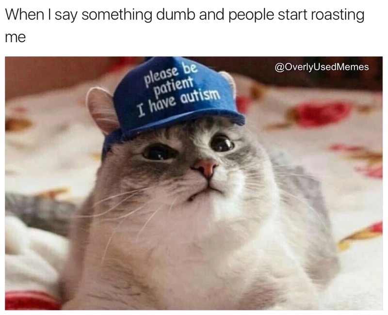 memes - please be patient i have autism cat - When I say something dumb and people start roasting me please be patient I have autism