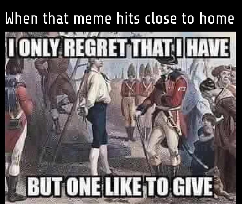 memes - nathan hale captain - When that meme hits close to home I Only Regret That I Have Atif But One To Give