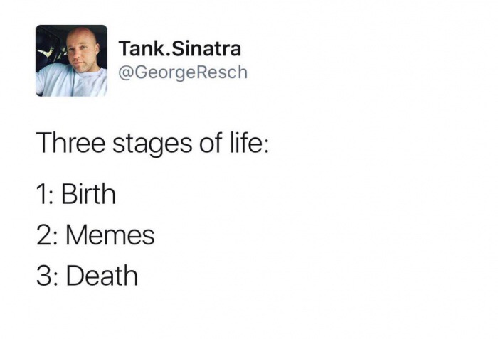 memes - Tank.Sinatra Resch Three stages of life 1 Birth 2 Memes 3 Death