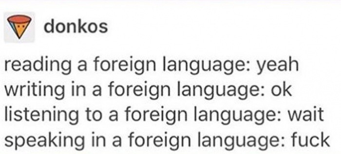 memes - document - donkos reading a foreign language yeah writing in a foreign language ok listening to a foreign language wait speaking in a foreign language fuck