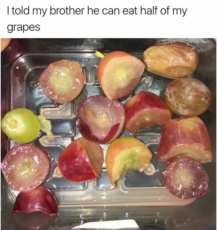 memes - told my brother he could eat half my grapes - I told my brother he can eat half of my grapes