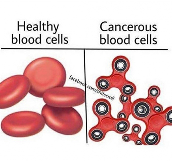 memes - difference between white and red blood cells - Healthy blood cells Cancerous blood cells facebook.comshitscroll