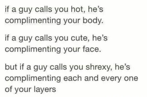 memes - funny quotes and sayings - if a guy calls you hot, he's complimenting your body. if a guy calls you cute, he's complimenting your face. but if a guy calls you shrexy, he's complimenting each and every one of your layers
