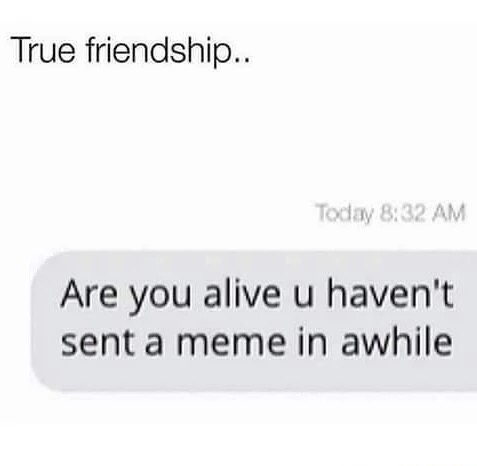 memes - document - True friendship.. Today Are you alive u haven't sent a meme in awhile