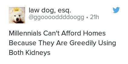 memes - millennials can t afford homes - law dog, esq. 21h Millennials Can't Afford Homes Because They Are Greedily Using Both Kidneys