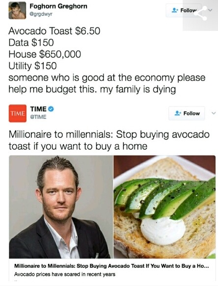 memes - stop buying avocado toast - Foghorn Greghorn 4. Avocado Toast $6.50 Data $150 House $650,000 Utility $150 someone who is good at the economy please help me budget this. my family is dying Time Time Millionaire to millennials Stop buying avocado to