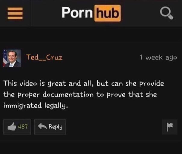 memes - screenshot - Porn hub Ted___Cruz 1 week ago This video is great and all, but can she provide the proper documentation to prove that she immigrated legally. 487
