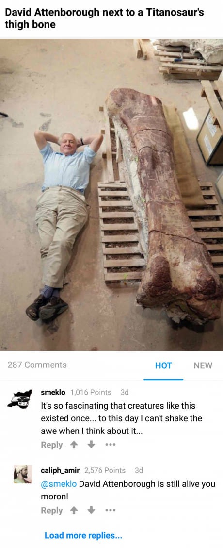david attenborough dinosaurs - David Attenborough next to a Titanosaur's thigh bone 287 Hot New smeklo 1,016 Points 3d It's so fascinating that creatures this existed once... to this day I can't shake the awe when I think about it... ... caliph_amir 2,576