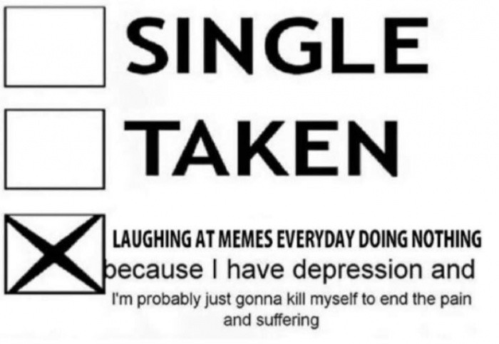 meme stream - single memes - Single Taken Laughing At Memes Everyday Doing Nothing because I have depression and I'm probably just gonna kill myself to end the pain and suffering