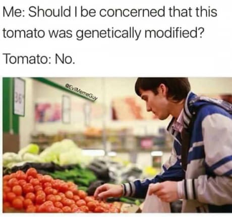 meme stream - should i be concerned that this tomato - Me Should I be concerned that this tomato was genetically modified? Tomato No. Gevi MemeGuy