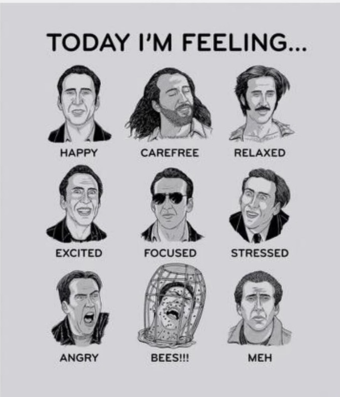 nicolas cage today i m feeling - Today I'M Feeling... Happy Carefree Relaxed Excited Focused Stressed Angry Bees!!! Meh