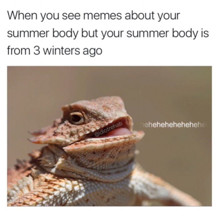 lizard hehehe meme - When you see memes about your summer body but your summer body is from 3 winters ago hehehehehehehehe