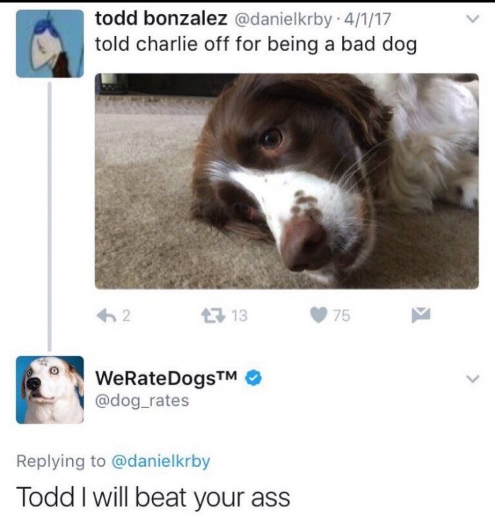 todd i will beat your ass - todd bonzalez . 4117 told charlie off for being a bad dog 2 7 13 75 WeRateDogsTM Todd I will beat your ass