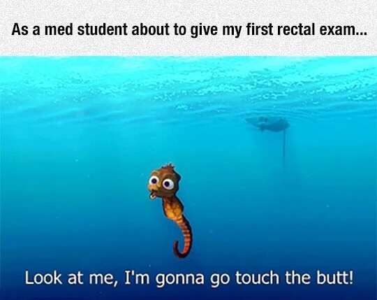 meme stream - underwater - As a med student about to give my first rectal exam... Look at me, I'm gonna go touch the butt!