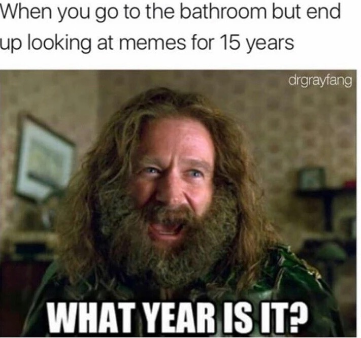 meme stream - year is it memes - When you go to the bathroom but end up looking at memes for 15 years drgrayfang What Year Is It?