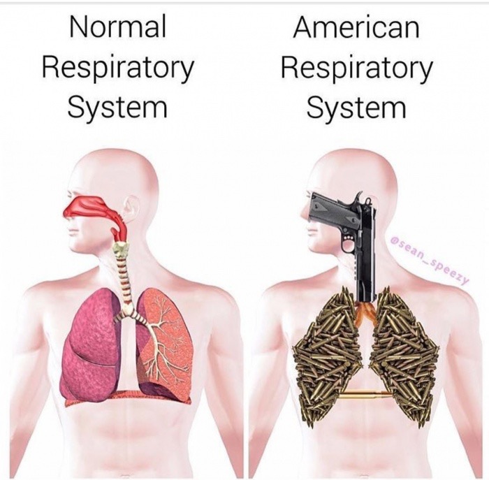 meme stream - body respiratory system - Normal Respiratory System American Respiratory System